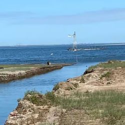 Las comunas se comprometen a controlar, tanto la pesca deportiva como comercial, las cuales se podrán desarrollar en los horarios previstos (de lunes a viernes a las 11 los comerciales y desde el viernes a las 11 hasta el domingo y los feriados los particulares). 