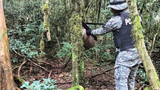 Desmantelaron un campamento de caza furtiva en Misiones