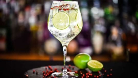 El Día Mundial del Gin: historia, curiosidades y recetas argentinas