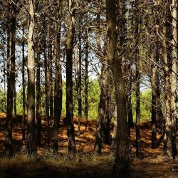 Mar de las Pampas ofrece su tranquilidad al visitante de invierno.