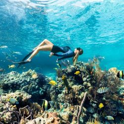 Los tesoros submarinos de la barrera de coral de Andros, en las Islas de Las Bahamas, son espectaculares.