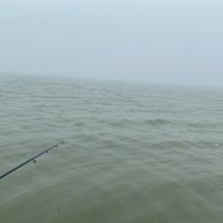 Aunque el clima afectó por lluvias, vientos y neblina, en muchos pesqueros los rindes mejoraron por la ausencia de heladas. 