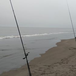Aunque el clima afectó por lluvias, vientos y neblina, en muchos pesqueros los rindes mejoraron por la ausencia de heladas. 