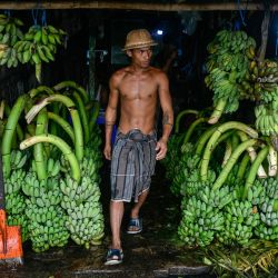 Un vendedor espera a los clientes en su tienda de bananas en un mercado mayorista de frutas en Yangon, Myanmar. | Foto:Sai Aung Main / AFP