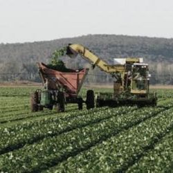 Productores Rosario
