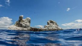 Los océanos del mundo sufren nuevas amenazas.