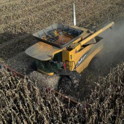 Vista aérea de un agricultor cosechando campos de maíz en Lobos, provincia de Buenos Aires, Argentina. | Foto:JUAN MABROMATA / AFP