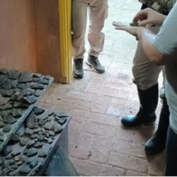 El personal del Parque encontró una concentración llamativa de material mientras recorría las orillas del río Paraná.