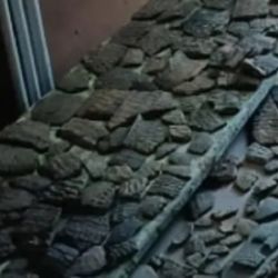 Los fragmentos fueron acondicionados para su correcta conservación.