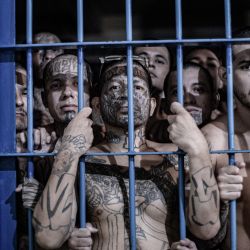 Esta fotografía publicada por la oficina de prensa de la Presidencia de El Salvador muestra a presuntos pandilleros luego de ser trasladados por la policía al Centro de Confinamiento Terrorista (CECOT) en la ciudad de Tecoluca, El Salvador. Más de 2.000 pandilleros que se encontraban encarcelados en diferentes cárceles del país fueron trasladados al CECOT, la megacárcel símbolo de la lucha contra las pandillas en El Salvador, anunció el presidente Nayib Bukele. | Foto:OFICINA DE PRENSA DE LA PRESIDENCIA DE EL SALVADOR / AFP