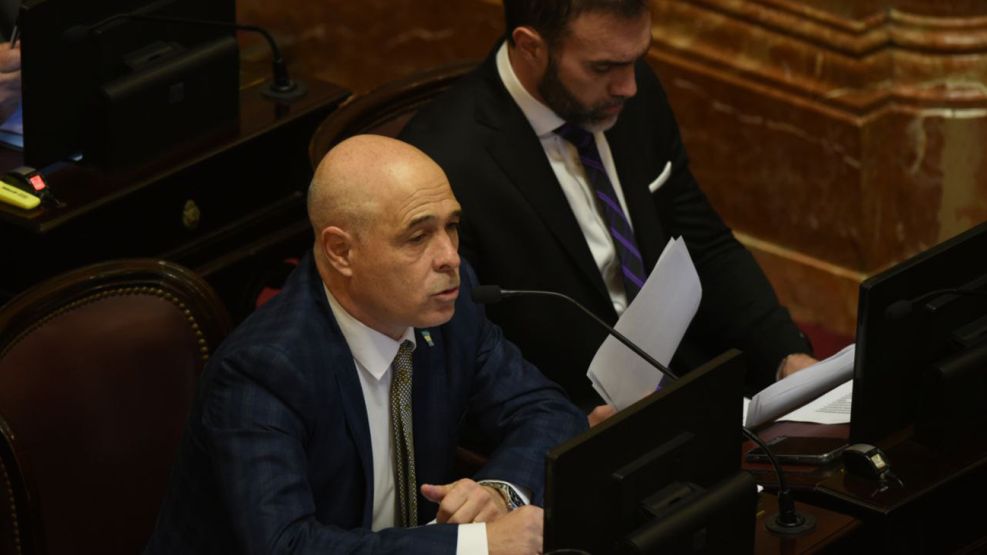 Debate de la ley Bases en el Senado