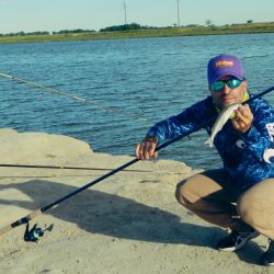 En el Salado los pejerreyes suelen ser de boca chica y pique rápido, por lo que los anzuelos deben ser acordes, y contar con mojarras pequeñas a medianas.