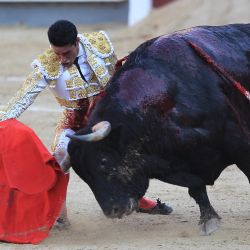 El torero español Alejandro Talavante realiza un pase a un toro con una muleta durante la Feria de San Isidro en la plaza de toros de Las Ventas en Madrid. | Foto:ALBERTO SIMON / AFP