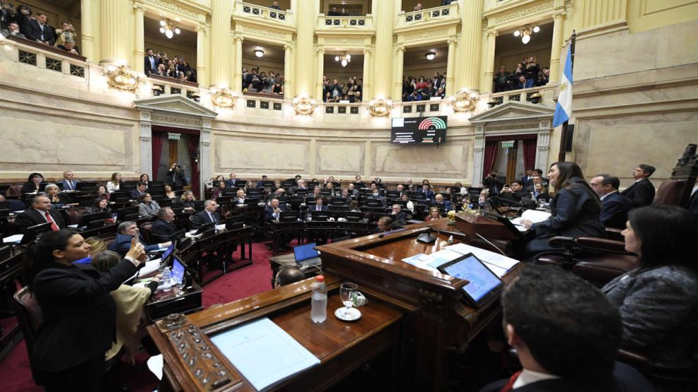 Ley Bases: tras la aprobación del Senado, qué puede hacer Diputados y qué  falta para que sea sancionada | Perfil