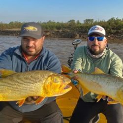 Buen momento de pesca en los ríos del norte, tanto el Uruguay como el Paraná están entregando buenos rindes.