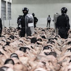 Esta fotografía publicada por la oficina de prensa de la Presidencia de El Salvador muestra a presuntos pandilleros luego de ser trasladados por la policía al Centro de Confinamiento Terrorista (CECOT) en la ciudad de Tecoluca, El Salvador. Más de 2.000 pandilleros que se encontraban encarcelados en diferentes cárceles del país fueron trasladados al CECOT, la megacárcel símbolo de la lucha contra las pandillas en El Salvador, anunció el presidente Nayib Bukele. | Foto:Folleto / OFICINA DE PRENSA DE LA PRESIDENCIA DE EL SALVADOR / AFP