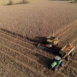 Vista aérea de agricultores cosechando campos de maíz en Lobos, provincia de Buenos Aires, Argentina. | Foto:JUAN MABROMATA / AFP