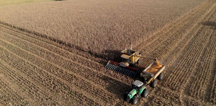 Vista aérea de agricultores cosechando campos de maíz en Lobos, provincia de Buenos Aires, Argentina.