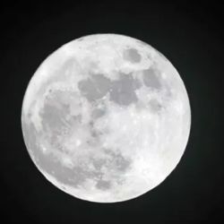 Se trata de una APP sin precedentes en la ciencia mundial.