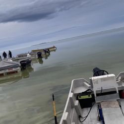 Buenos piques marcaron el primer fin de semana largo del mes de junio.