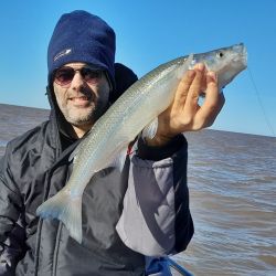 Buenos piques marcaron el primer fin de semana largo del mes de junio.