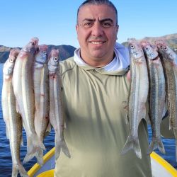 Los aparejos más rendidores fueron los de vuelo, con encarnes de mojarras vivas y siendo pacientes, moverse no es lo ideal, es clave buscar un sitio y hacerle el aguante. 