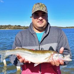 El pescado, en tierra firme fue pesado, acusando en la balanza los 2,295 kg, todo un récord en las lagunas de Villa Mercedes.