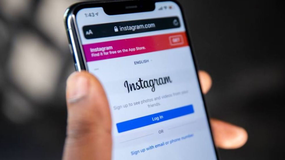 Instagram: cómo recuperar fotos y vídeos borrados por equivocación