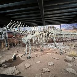 La huellas de los dinosaurios se pueden ver en El Chocón y sus huesos en el museo local. Además hay un restó donde toda la comida tiene que ver con los dinos.