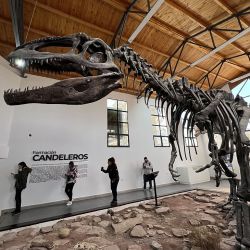 La huellas de los dinosaurios se pueden ver en El Chocón y sus huesos en el museo local. Además hay un restó donde toda la comida tiene que ver con los dinos.