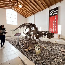 La huellas de los dinosaurios se pueden ver en El Chocón y sus huesos en el museo local. Además hay un restó donde toda la comida tiene que ver con los dinos.