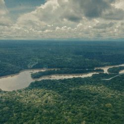 Un documental colombiano que se puede ver en Max recreó el rescate de cuatro niños indígenas en el Amazonas.
