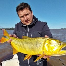 En tiempos de muchos piques, un excelente momento para ir por los dorados del Uruguay en un pesquero que nos permite pescar durante todo el año. 
