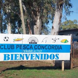 En tiempos de muchos piques, un excelente momento para ir por los dorados del Uruguay en un pesquero que nos permite pescar durante todo el año. 