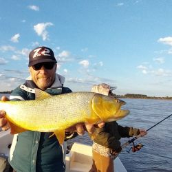 En tiempos de muchos piques, un excelente momento para ir por los dorados del Uruguay en un pesquero que nos permite pescar durante todo el año. 