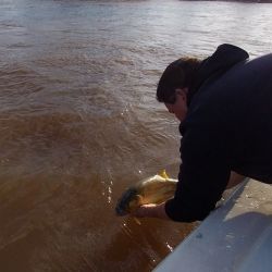 En tiempos de muchos piques, un excelente momento para ir por los dorados del Uruguay en un pesquero que nos permite pescar durante todo el año. 