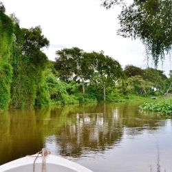 Con ese arancel, los pescadores argentinos abonaban $ 24.000 pesos por tres días de pesca en ese lugar, mientras que cada extranjero debía pagar $ 48.000.