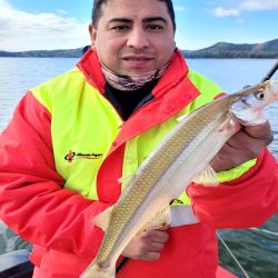 Para pescar en este embalse es clave usar equipos sutiles, ya que el pique está difícil. 