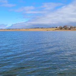 Para pescar en este embalse es clave usar equipos sutiles, ya que el pique está difícil. 