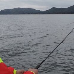 Para pescar en este embalse es clave usar equipos sutiles, ya que el pique está difícil. 