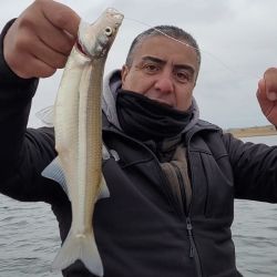 Para pescar en este embalse es clave usar equipos sutiles, ya que el pique está difícil. 