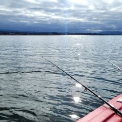 Para pescar en este embalse es clave usar equipos sutiles, ya que el pique está difícil. 