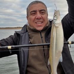 Para pescar en este embalse es clave usar equipos sutiles, ya que el pique está difícil. 