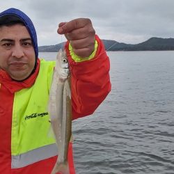 Para pescar en este embalse es clave usar equipos sutiles, ya que el pique está difícil. 