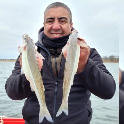 Para pescar en este embalse es clave usar equipos sutiles, ya que el pique está difícil. 