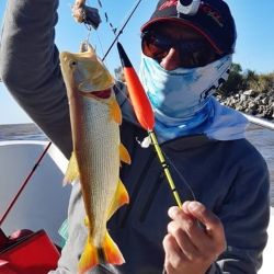 En este punto abundan los doradillos, tanto con carnada como pescando con artificiales. 