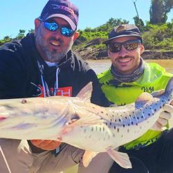 Los dorados de Puerto Gaboto tenían un color singular. Gozio Bendy 1 y Epic fueron los señuelos vedette del lugar.