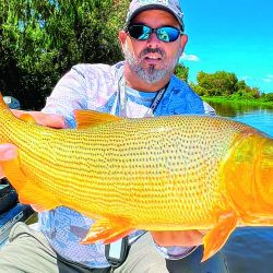 Los dorados de Puerto Gaboto tenían un color singular. Gozio Bendy 1 y Epic fueron los señuelos vedette del lugar.