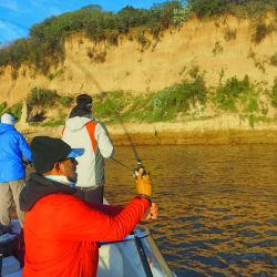 Los dorados de Puerto Gaboto tenían un color singular. Gozio Bendy 1 y Epic fueron los señuelos vedette del lugar.