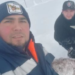 Danilo y Darío lograron rescatar al guanaco.